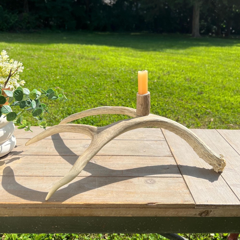 Unique Rustic Deer Antler Candle Holder